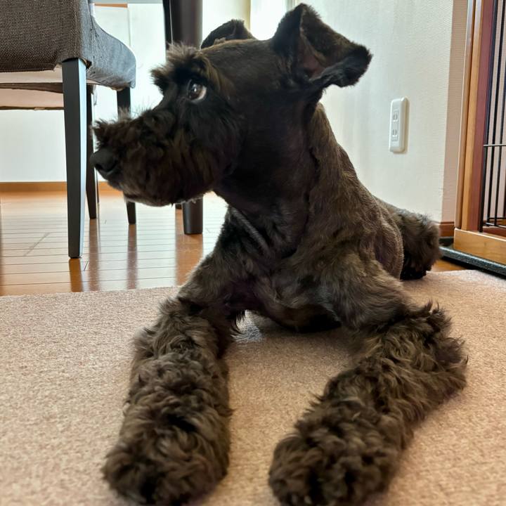 7978f85d 154b 43ea 8c6c ea41bac17fd9 1757902072694