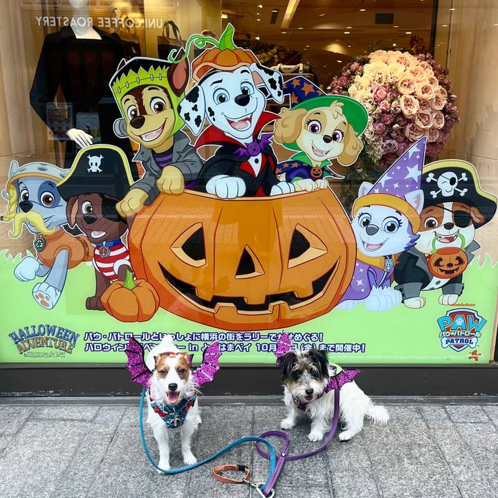 7979644c c8a7 4337 a61b 784f44f67fd5 1761906807242