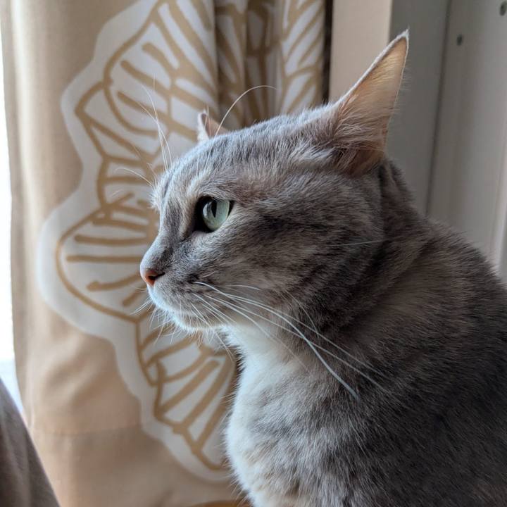 79796c00 092a 4874 837b f5368ecc1767 1745823659521