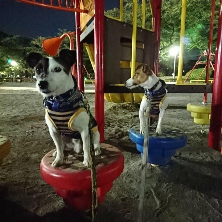 7979cdab d357 47d7 95aa 53991c23b477 1534675519040