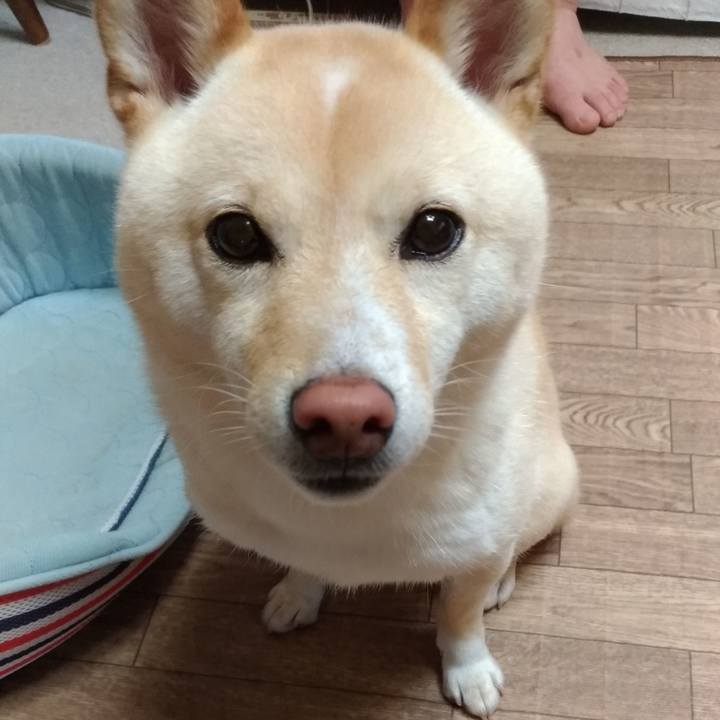 7979d29e dd42 421d a0a7 d003172260cc 1562108311838