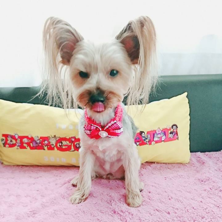 7979f864 2133 42cb b56c d92540656f42 1517894542009