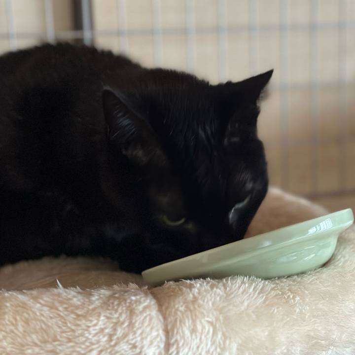 797a0d45 7004 4093 9e16 01b41c658e8c 1681523113702