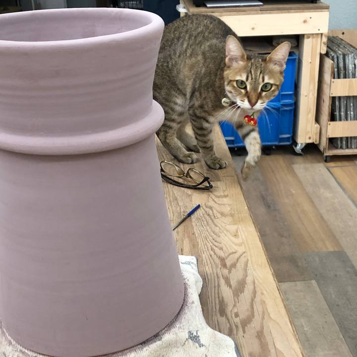 797a1314 9922 493f abc5 c0dbbbe5eec6 1646917384448