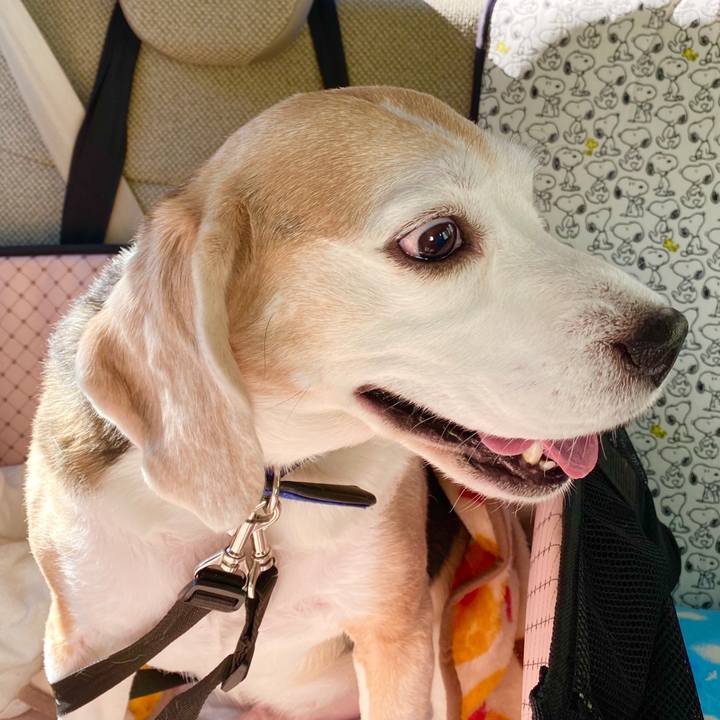 797a4137 d1bf 44cc 9efd b316ad066f33 1581391416274