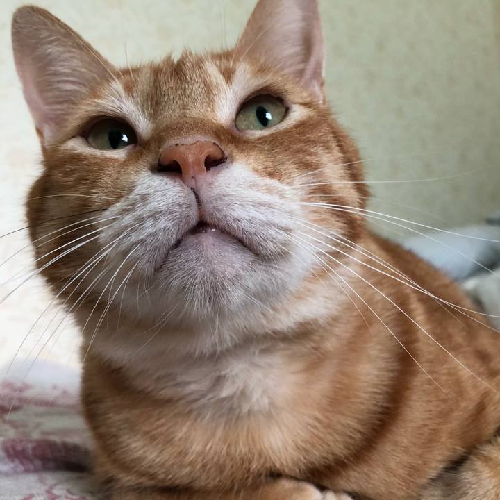 797a64d1 7336 4bb5 b8fb eb6255063a11 1571061796269