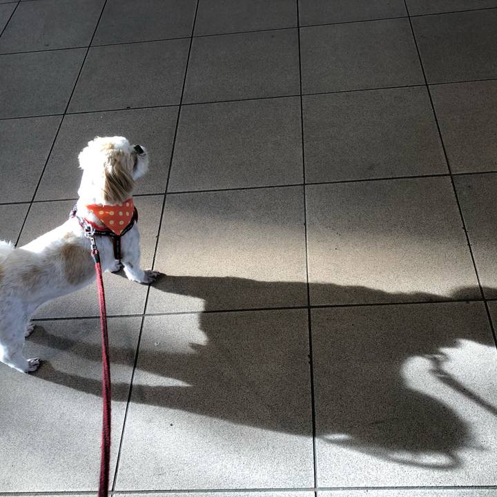 797a91b1 f411 47ce bc3b b66459f3f408 1557524907860