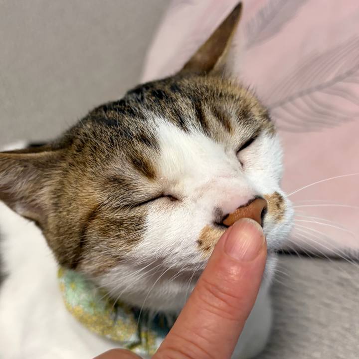 797a9c8c f449 45ba 99ec a5821a5f5a0d 1774218737019