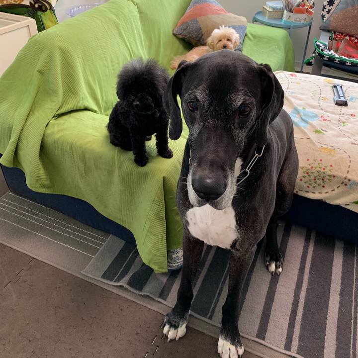 797aa8ca 0e2a 4db4 a7ca 9355e2451c82 1557872484043