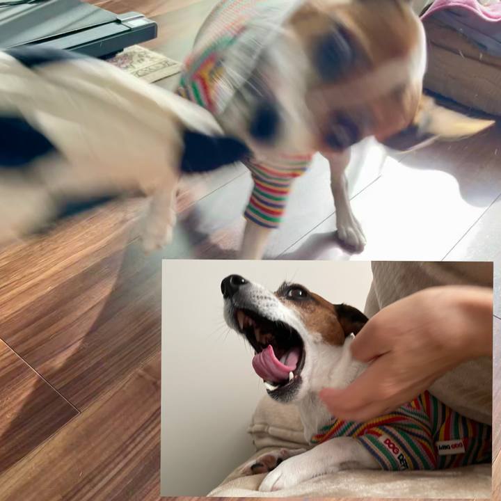 797acaa4 4281 4b24 9919 878393a09b38 1749162218515