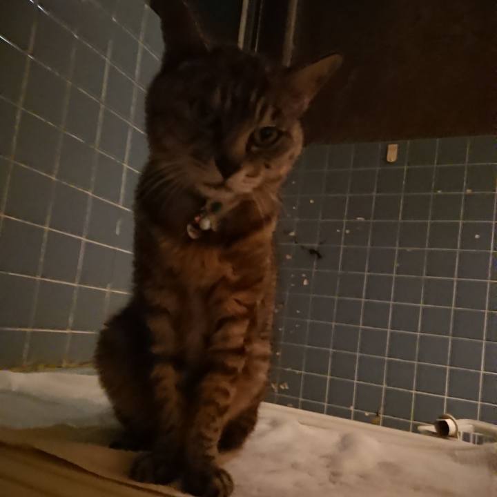 797ad574 433f 46f9 951f 834eae9daf48 1567679201417