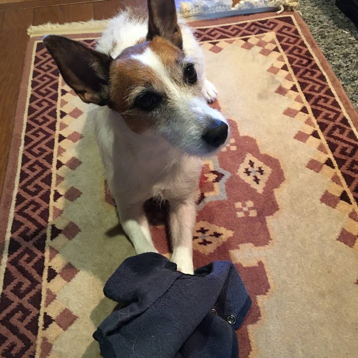 797ae493 d075 4287 9bd2 97eadcfaaac7 1574724189649