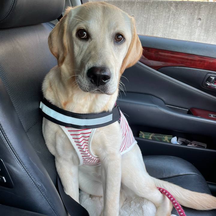 797b49ae 19f2 44a1 b482 005e091a23fe 1622447315787