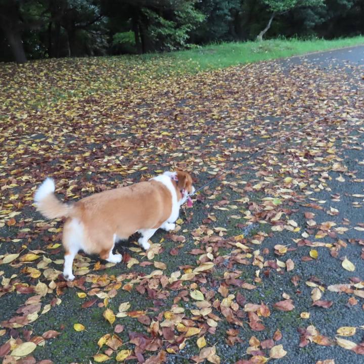 797b9d7f 1901 4809 ae8c 1de6ccf00f32 1663289426121