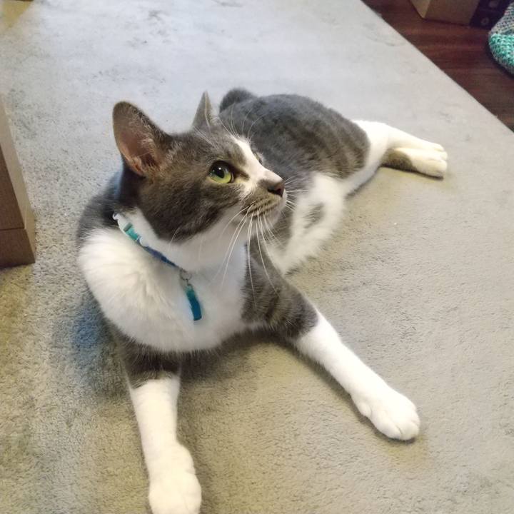 797bac34 a5b9 4454 babf 3ee6f6424386 1625616221176