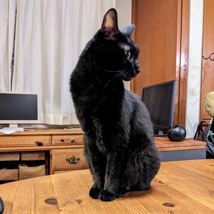 797bc5c3 5ed5 47c1 9c75 6ce6843e63da 1759791594005