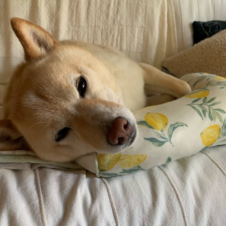 797bd518 7511 41e2 a480 fd86ac6e49fb 1655447853499