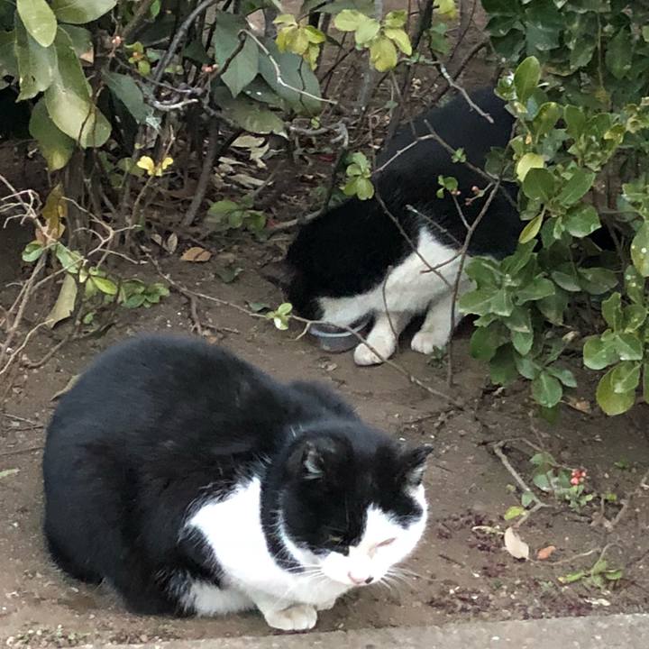 797bd7b5 1c9b 444d 9bec aa6ba530c1c1 1517325884443