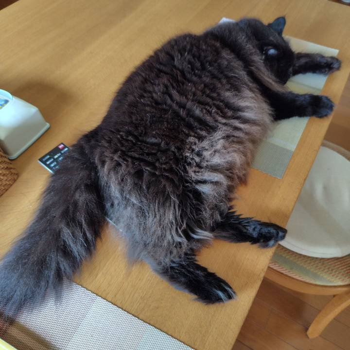 797c1e91 0bf5 4df2 8a9c 71642fbc67bd 1727995652606