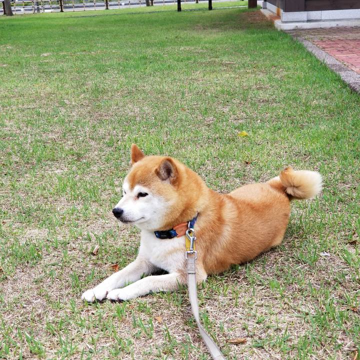 797c4699 0cc0 493b 8cea b68f04c516a7 1562313734457