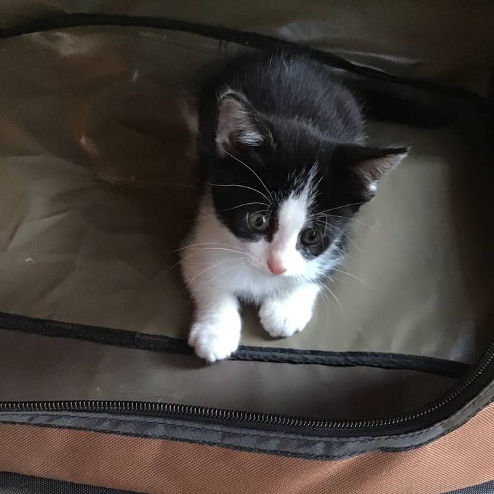 797c4ee8 f749 4a47 b2a9 b95d82bc846c 1623913203873