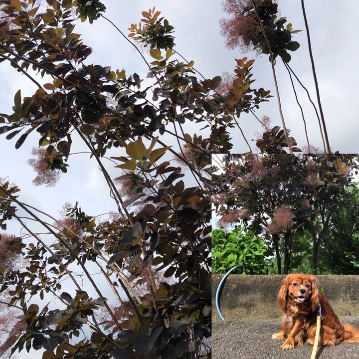 797c7e13 85f3 40e5 a36e 9336a9dede88 1621642222214