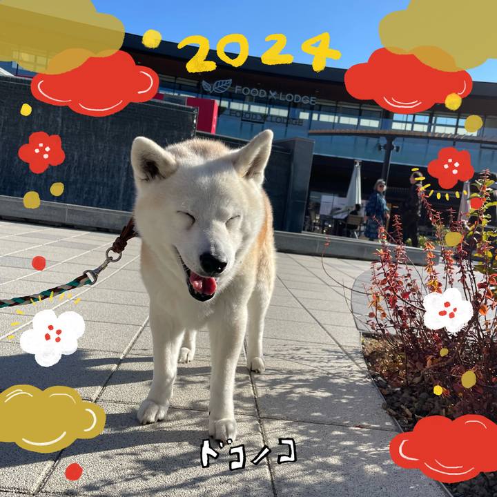 797c8370 326c 4862 9b45 5a97693f2be3 1704274563918