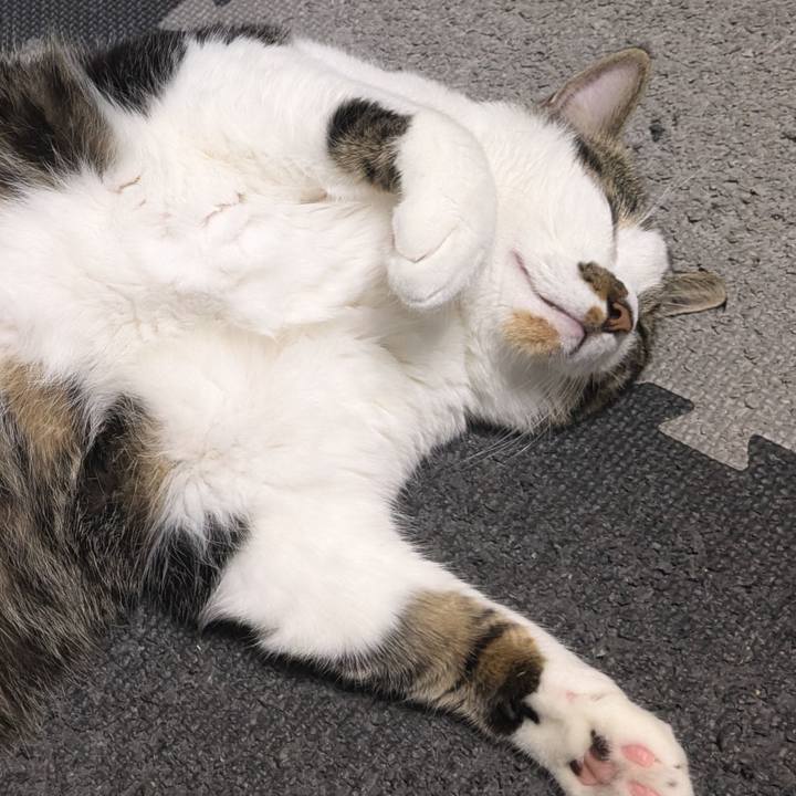 797c9595 05d0 4e93 baab bdf539ba11c3 1722201499584