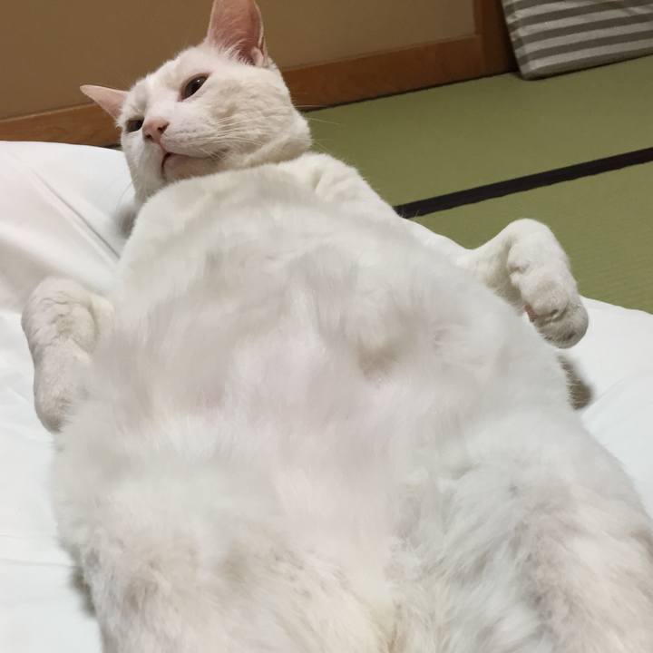 797ca303 9385 4fe7 83ec 56ecea208f62 1559221616186