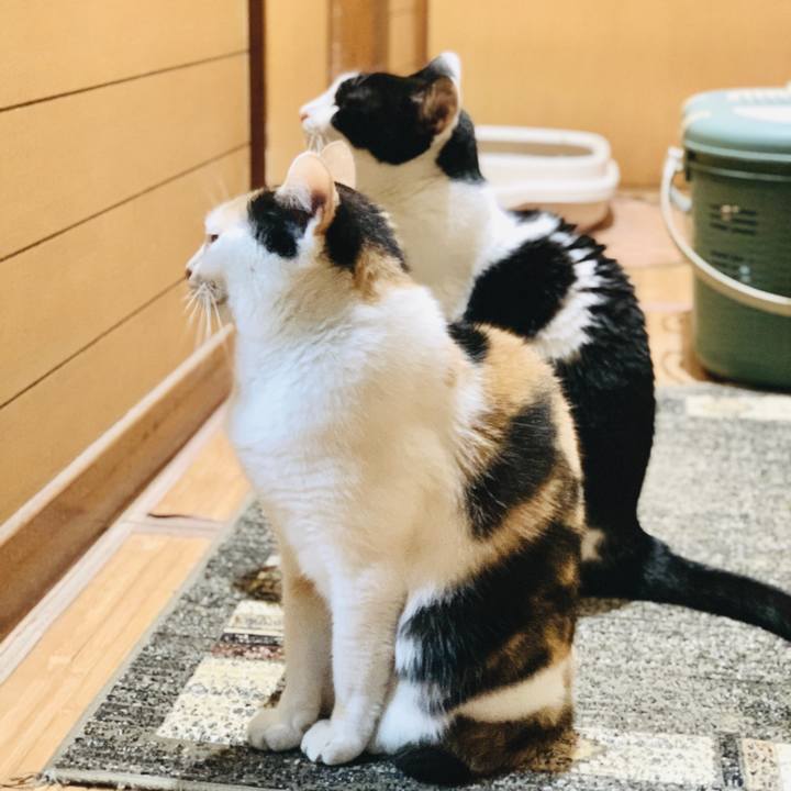 797cb14f df1b 4e85 81e6 c1003a062b51 1605404942975