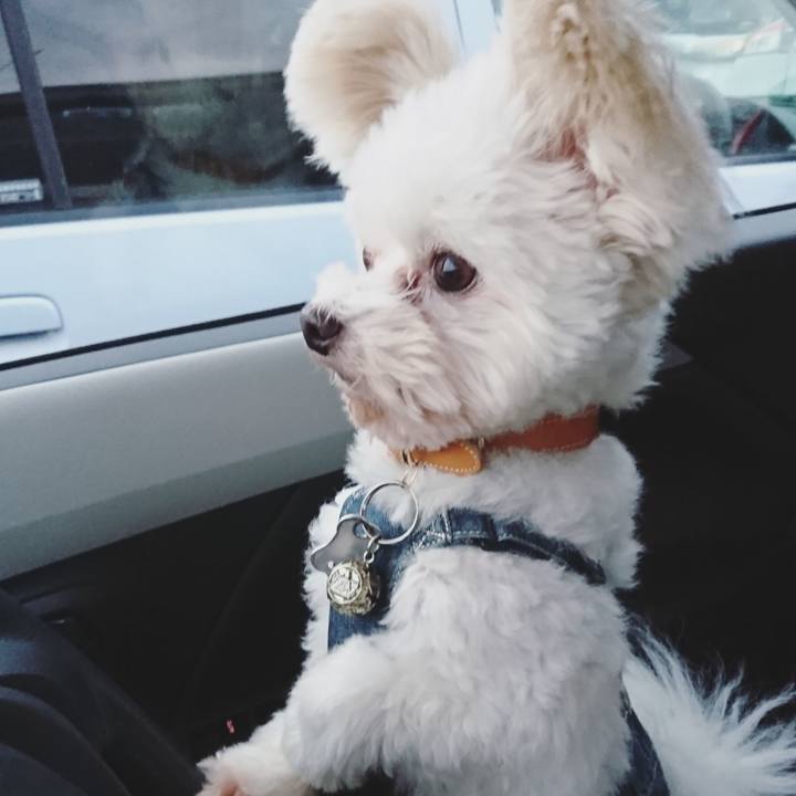 797cdcd4 cb89 4c9c 882f 1d00be902cca 1543140220114