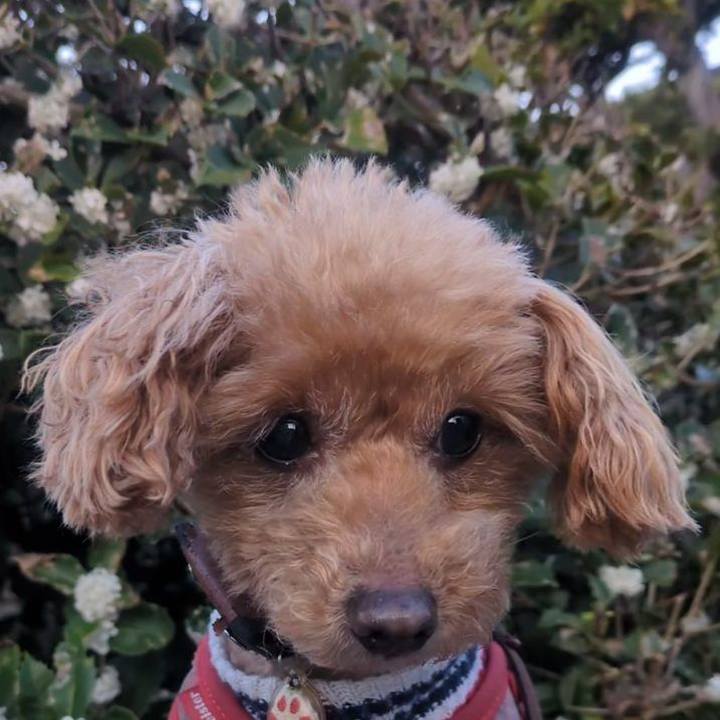 797d3cfe 8d8d 4626 a843 19ae8f89982d 1763178739487