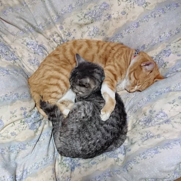 797d4fa1 75a5 4d9e bb18 136aa6442259 1575377989537