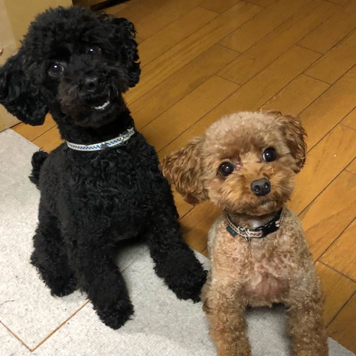 797d60ca 1dda 46b0 8caf 48c275c9d6d6 1543644117824