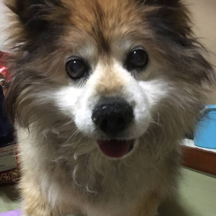 797d6e3b 89af 4678 81c8 9236ad39bc87 1552331410786