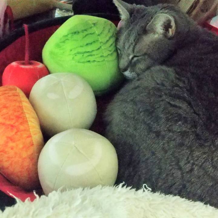 797d725f 47c1 44b8 931d c00d94726f56 1604399974095