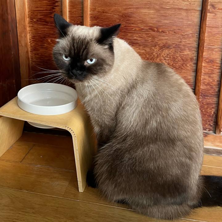 797d7456 ecd3 41cd baf9 f31ff8781021 1696214414565