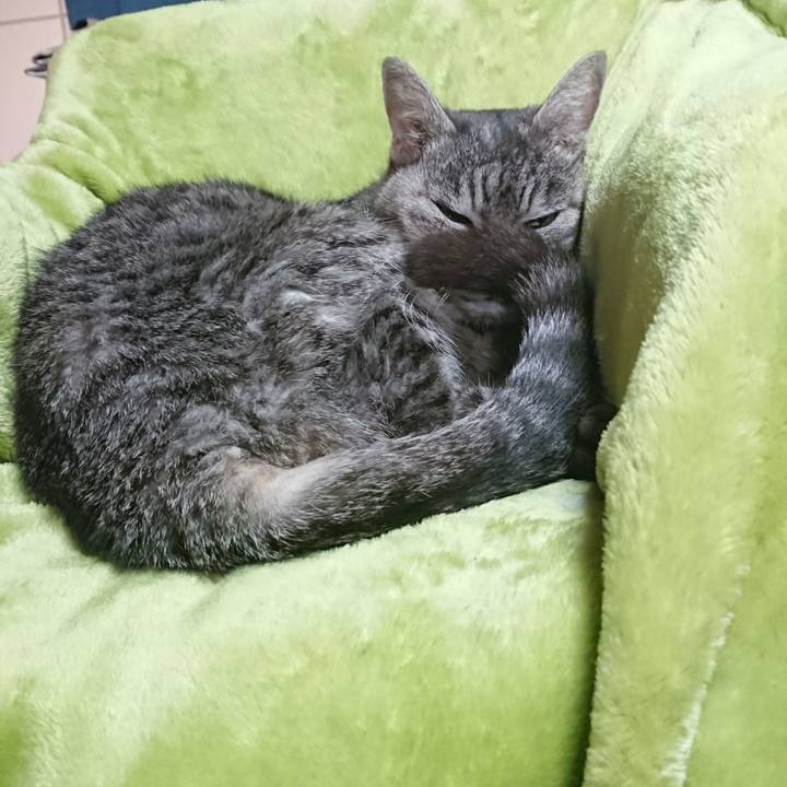 797d7891 49fb 4fe3 b3b9 64f978a2e3ee 1583627011194