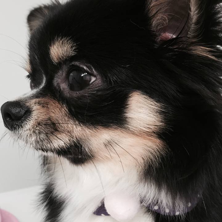 797db11a f832 4ef2 8537 5d130b923660 1522195860858