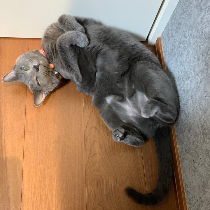 797dc497 1664 4f66 a9c9 c03383fb2187 1602320151311