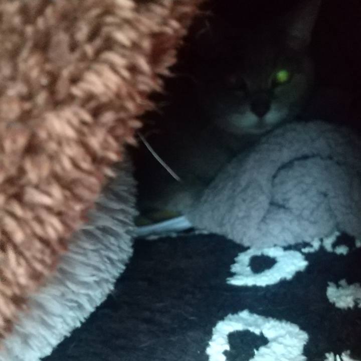 797dc75c ef36 49e4 ac39 7e7562707e7f 1672871086279