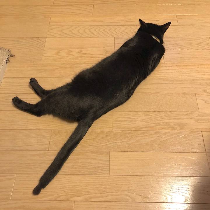 797de090 76f5 444a 8e2f e1462cdeeb4b 1519127901875