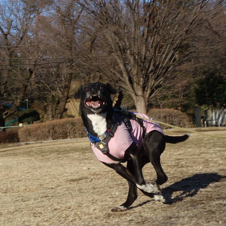 797df75e 48cf 49ad 87ca d958df5ffd96 1645752440044