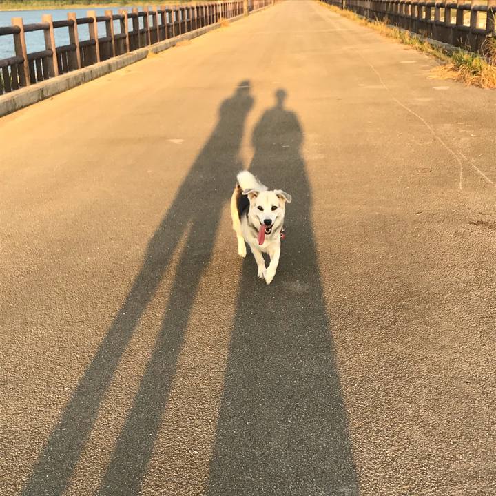 797e17fb 2abb 4df6 a48a cf192d08119d 1572170853722