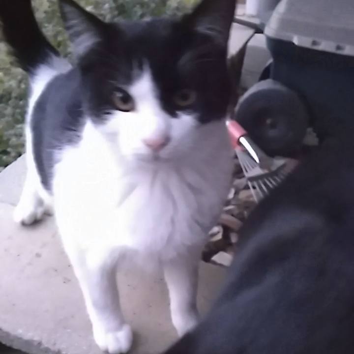 797e1c57 107f 4d61 a307 6ef8d121d048 1549097704815