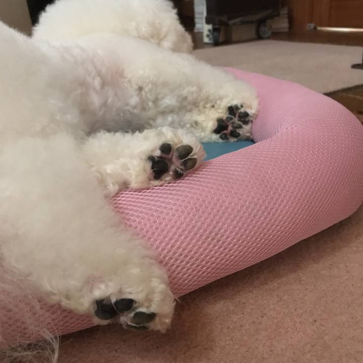 797e2ede eedb 4398 b78b 526a9e0a438d 1532056275797