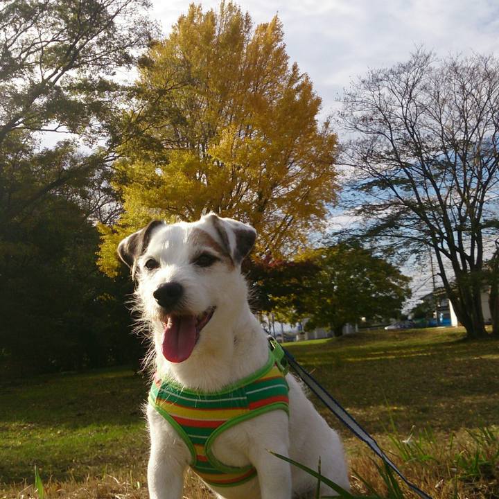 797e4ad2 bc78 4780 81c9 0d6146d0013d 1512168208966