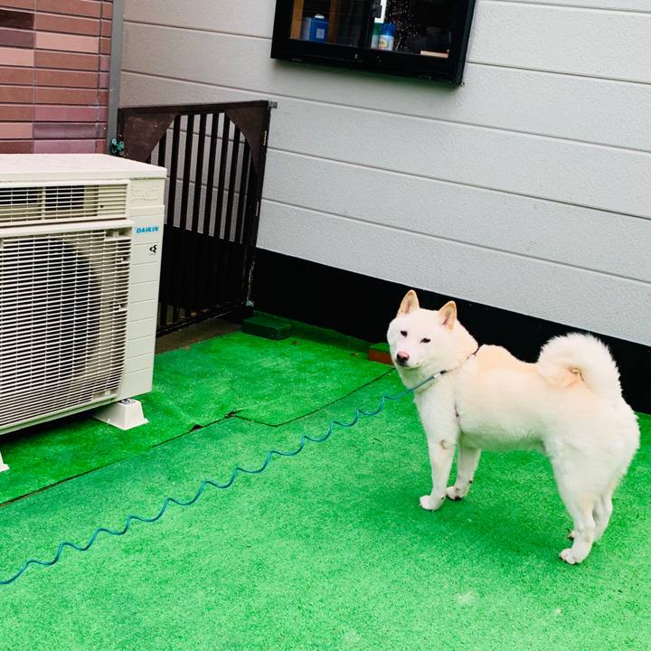 797e5d7a 1bce 469f 9d76 452c052149d5 1601069523746