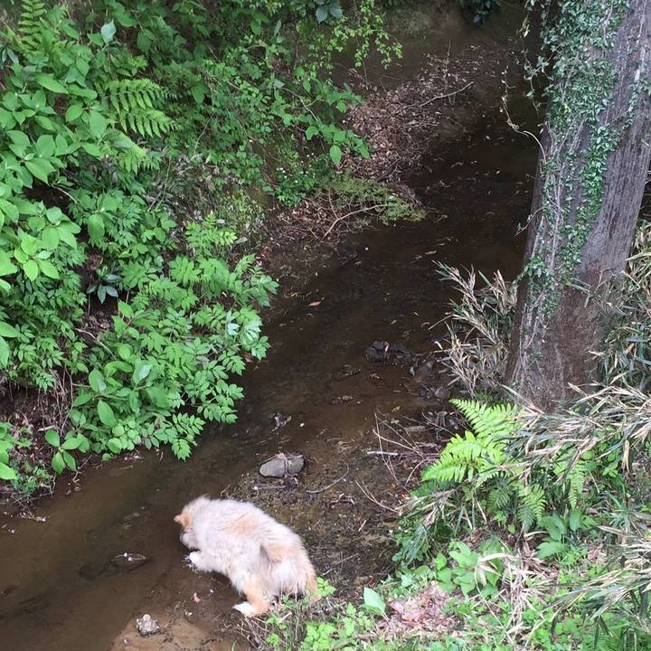 797e69da 0459 4506 aae2 7e13808912bf 1613176005549