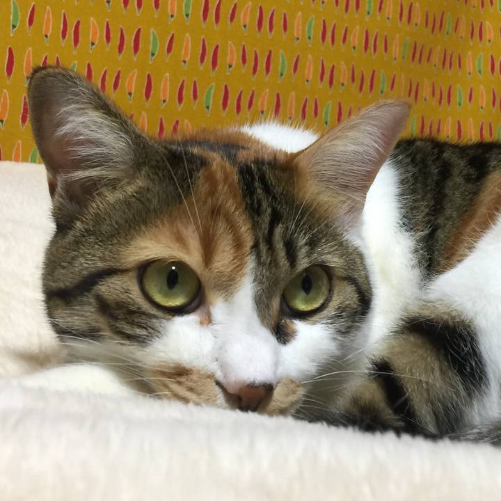 797e86d7 028c 4ef0 bbb7 f6bc0e8452b0 1667037828576